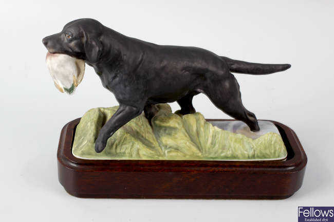 A Royal Worcester porcelain model of a Labrador