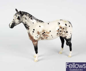 A Beswick model of a dappled Appaloosa horse.