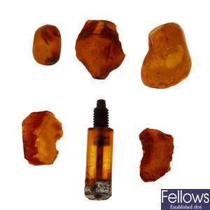 A selection of natural amber pieces.