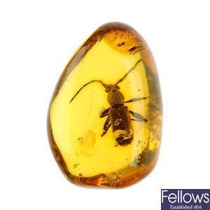 A piece of natural Dominican Republic amber with longhorn beetle inclusion.