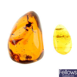 Two pieces of natural Dominican Republic amber with insect inclusions.
