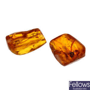Two pieces of natural Baltic amber with insect inclusions.