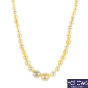 A graduated natural pearl single-strand necklace.