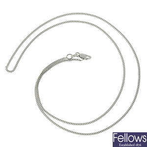 A palladium chain necklace.
