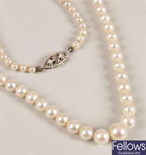9ct white gold graduated cultured pearl necklet