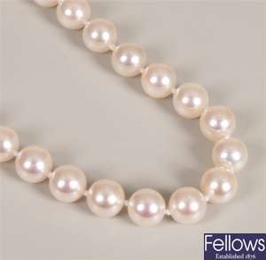 Single row uniform cultured pearl necklet with an