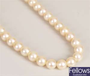 Single row of uniform cultured pearls on a