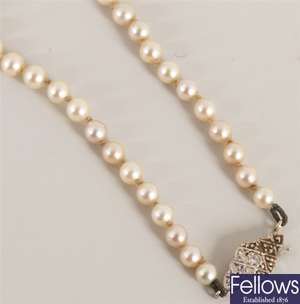 Single row graduated cultured pearl necklet on a