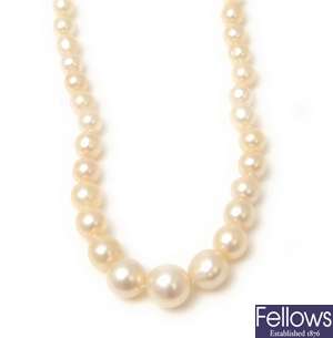 A pearl and cultured single row necklace on a