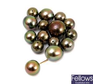 A quantity of loose black cultured pearls to