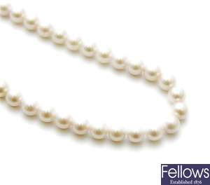 A single row of uniform cultured pearl necklace