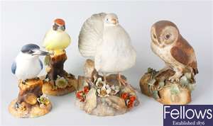 Four Royal Crown Derby porcelain studies of birds