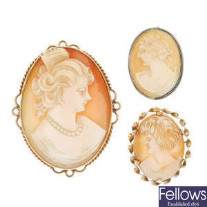 A selection of three shell cameo brooches.