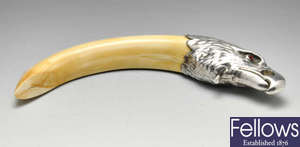 An early twentieth century Austrian silver mounted boar tusk cigar cutter.