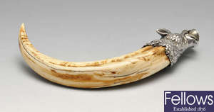 An early nineteenth century continental, probably German or Austrian, mounted boar tusk cigar cutter.