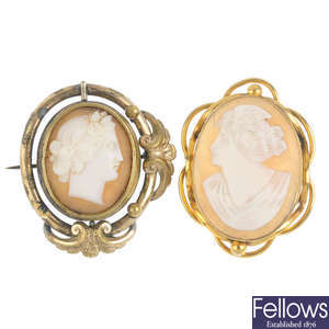 A selection of cameo brooches.