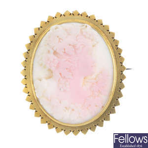 A late 19th century gold conch shell cameo brooch.